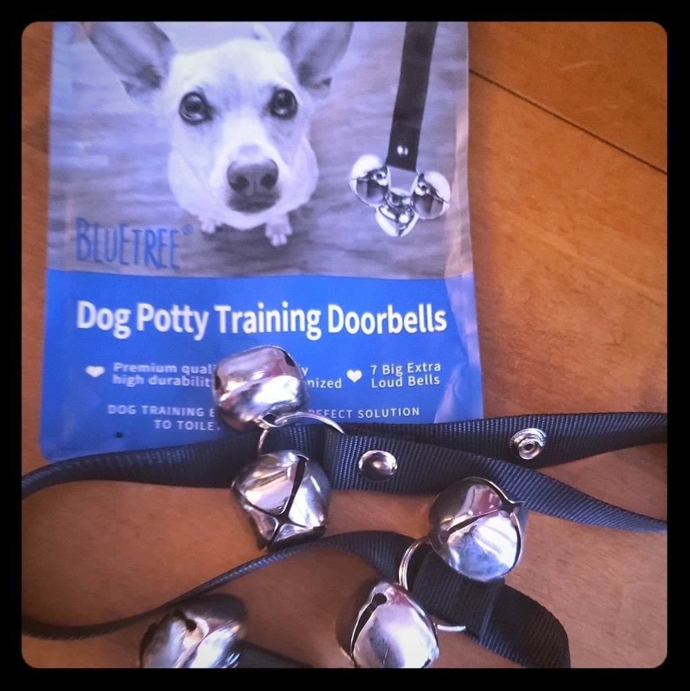 Dog potty training bells